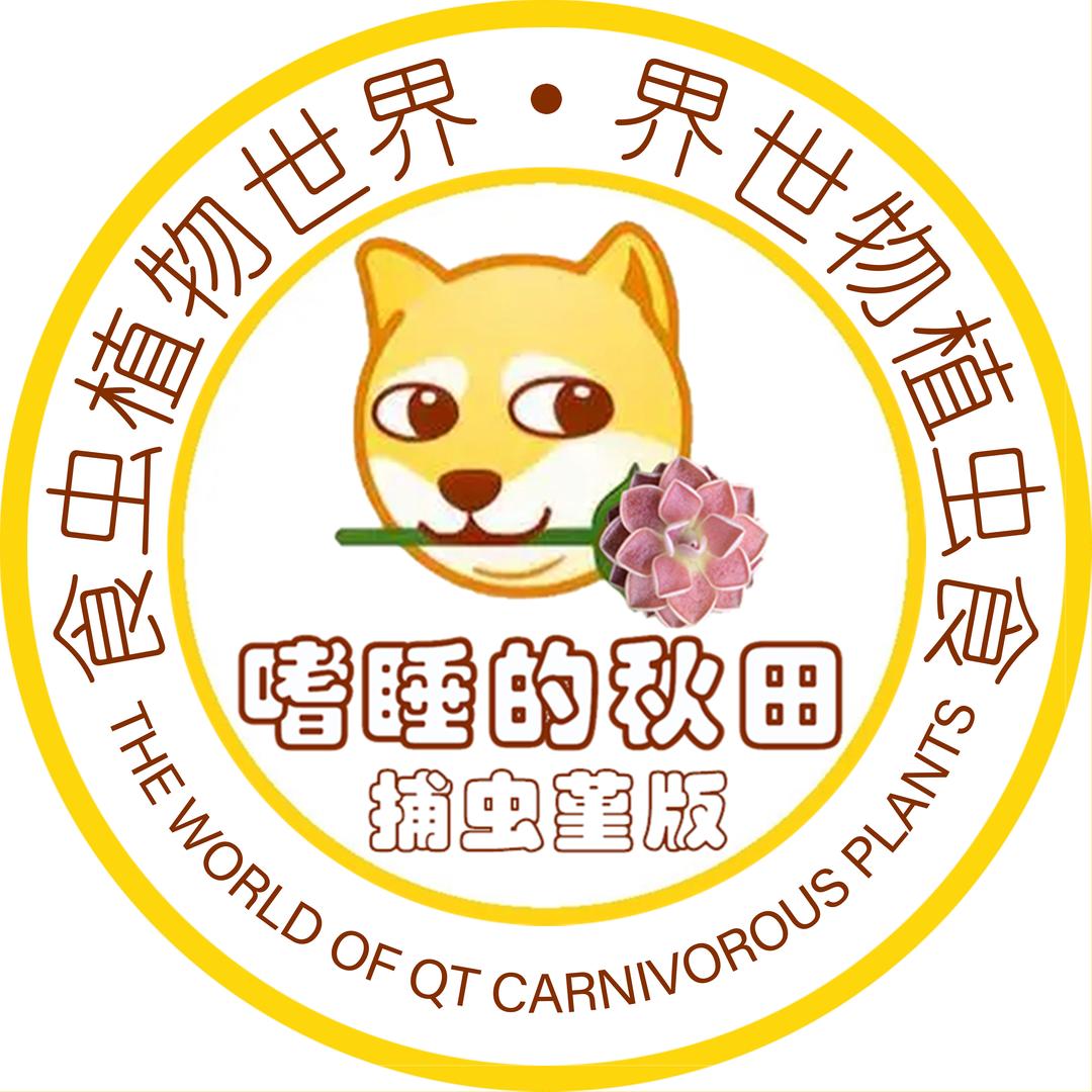 嗜睡的秋田
