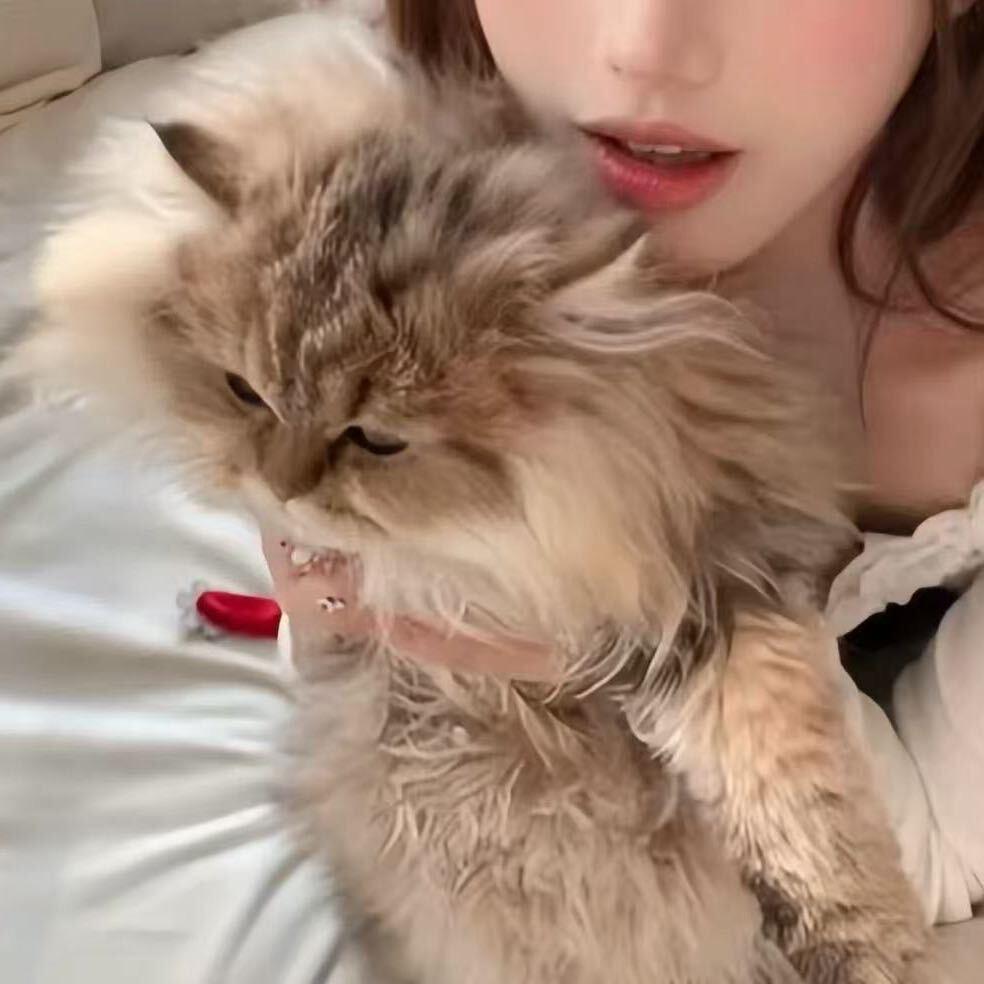 _啤酒胃
