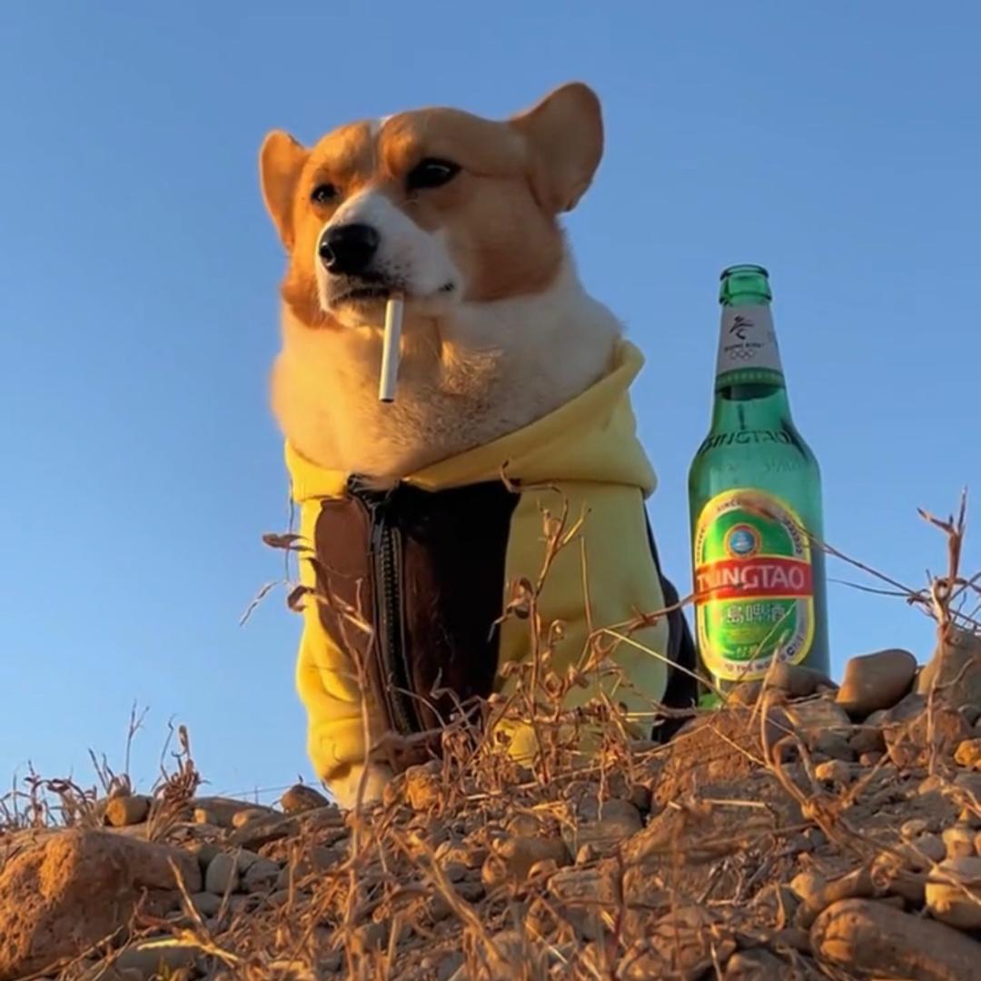摄影师晓杰头像
