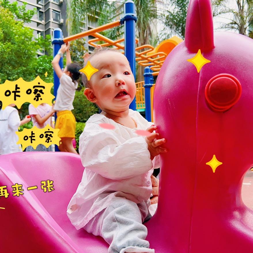 浓眉大眼小汪汪