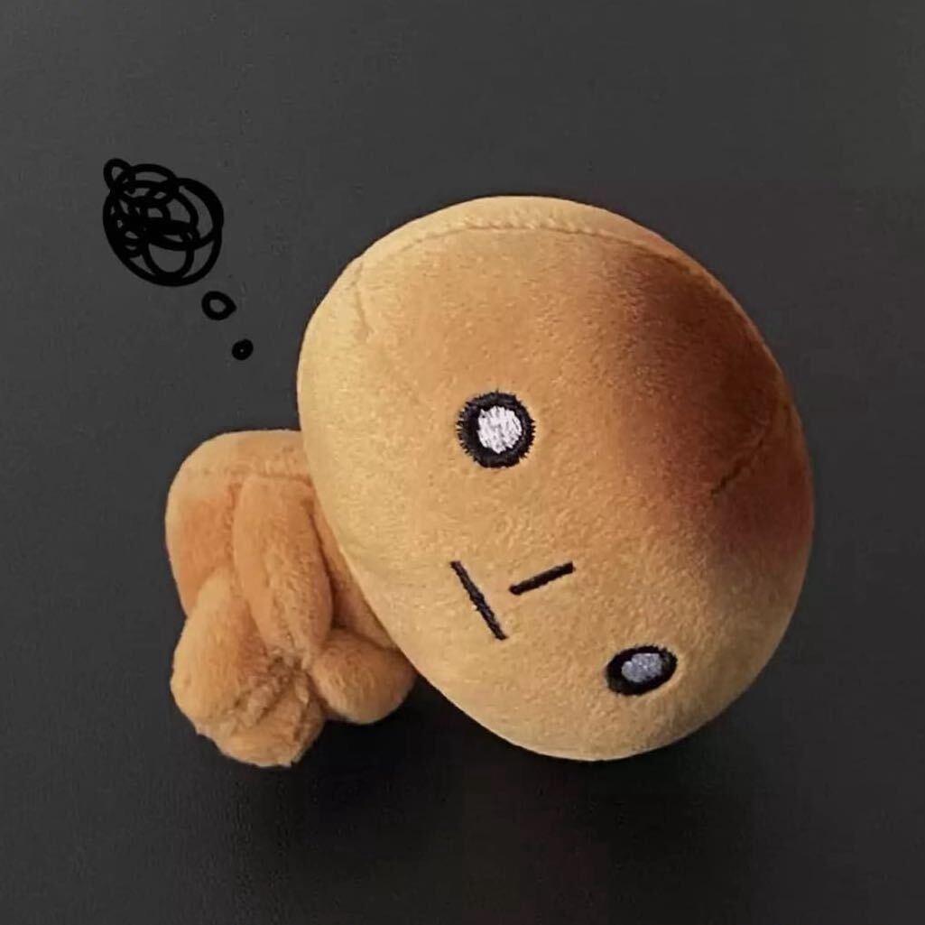 右耳