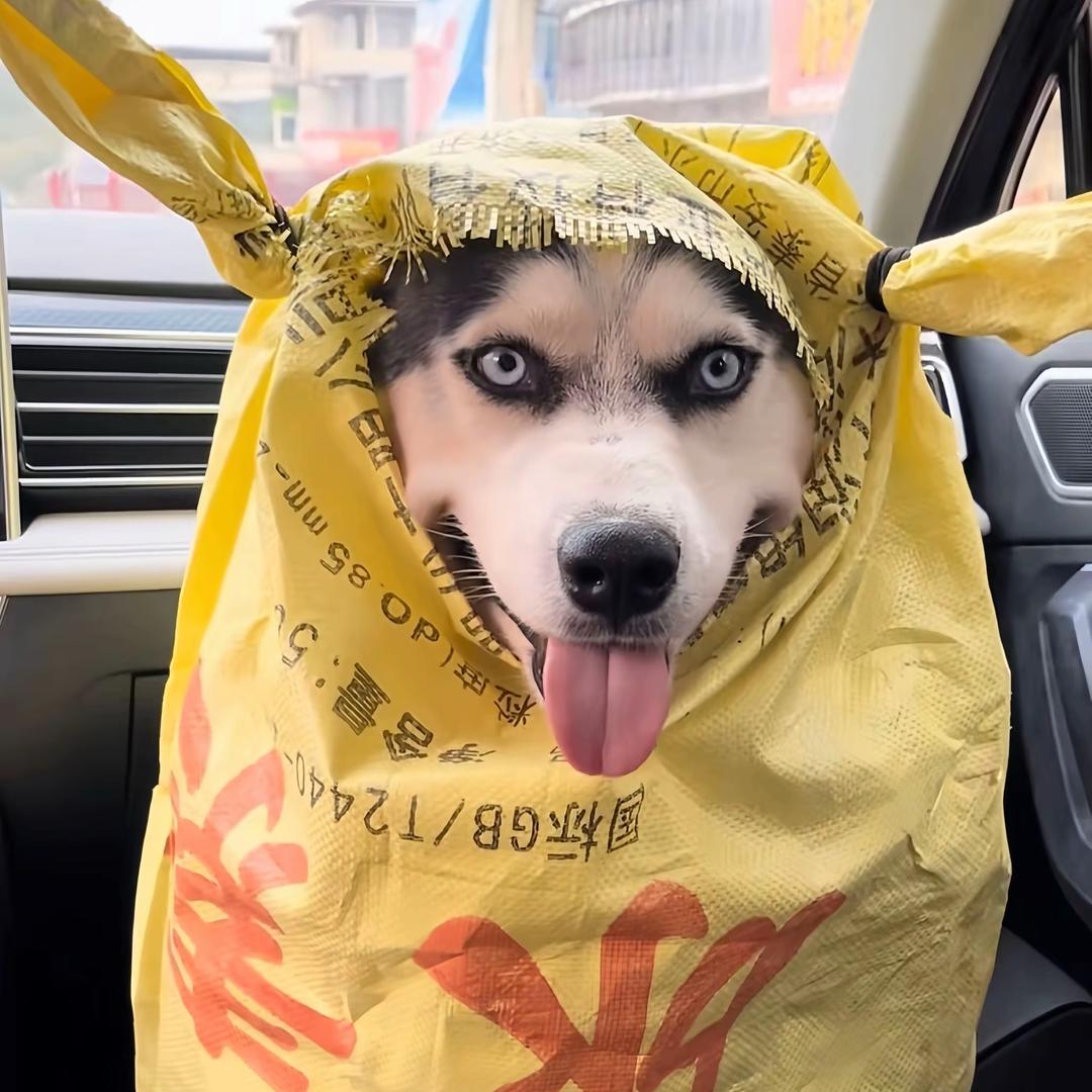 也无风雨