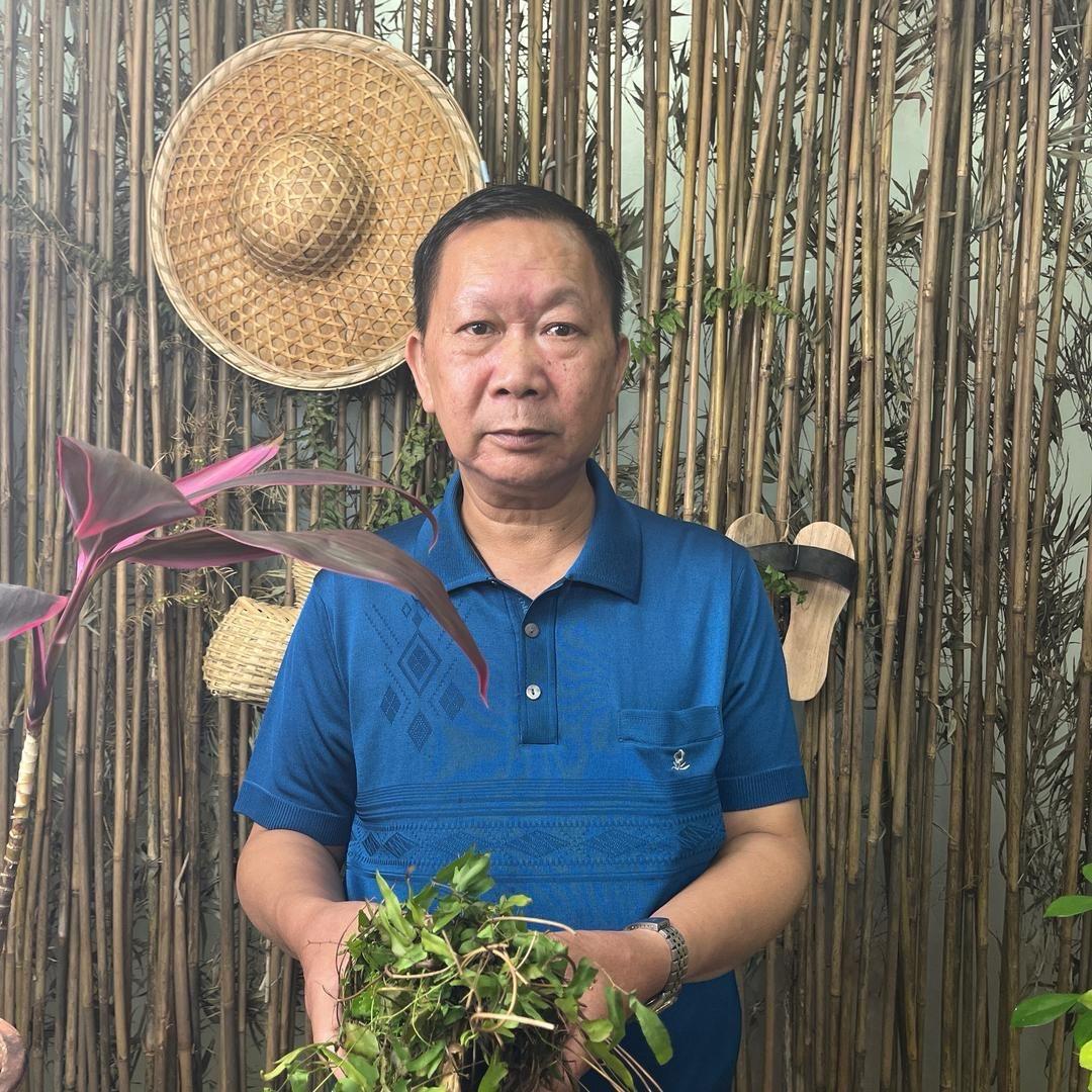 木桃仁