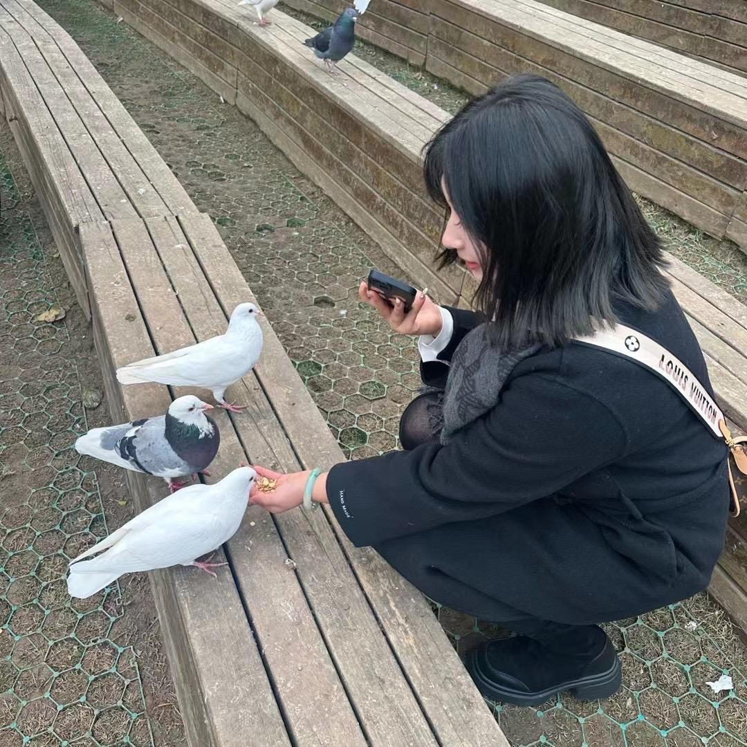 波斯猫🐱