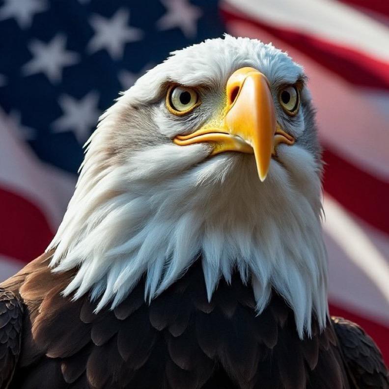北美之聲🇺🇸