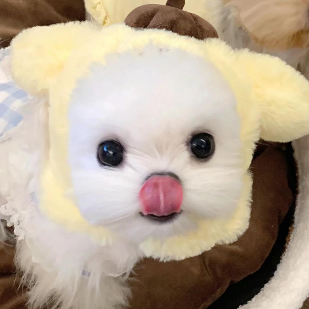 再睡会儿^