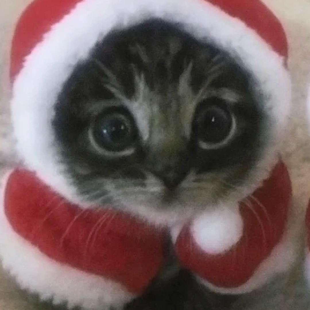 牙不齐（求推荐版）