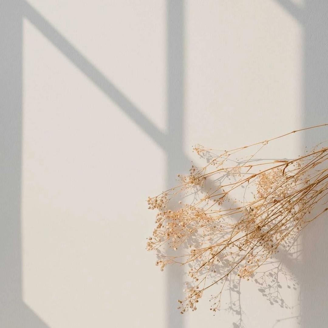 今天相机吃什么