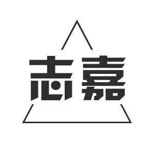 志嘉服饰爸爸装