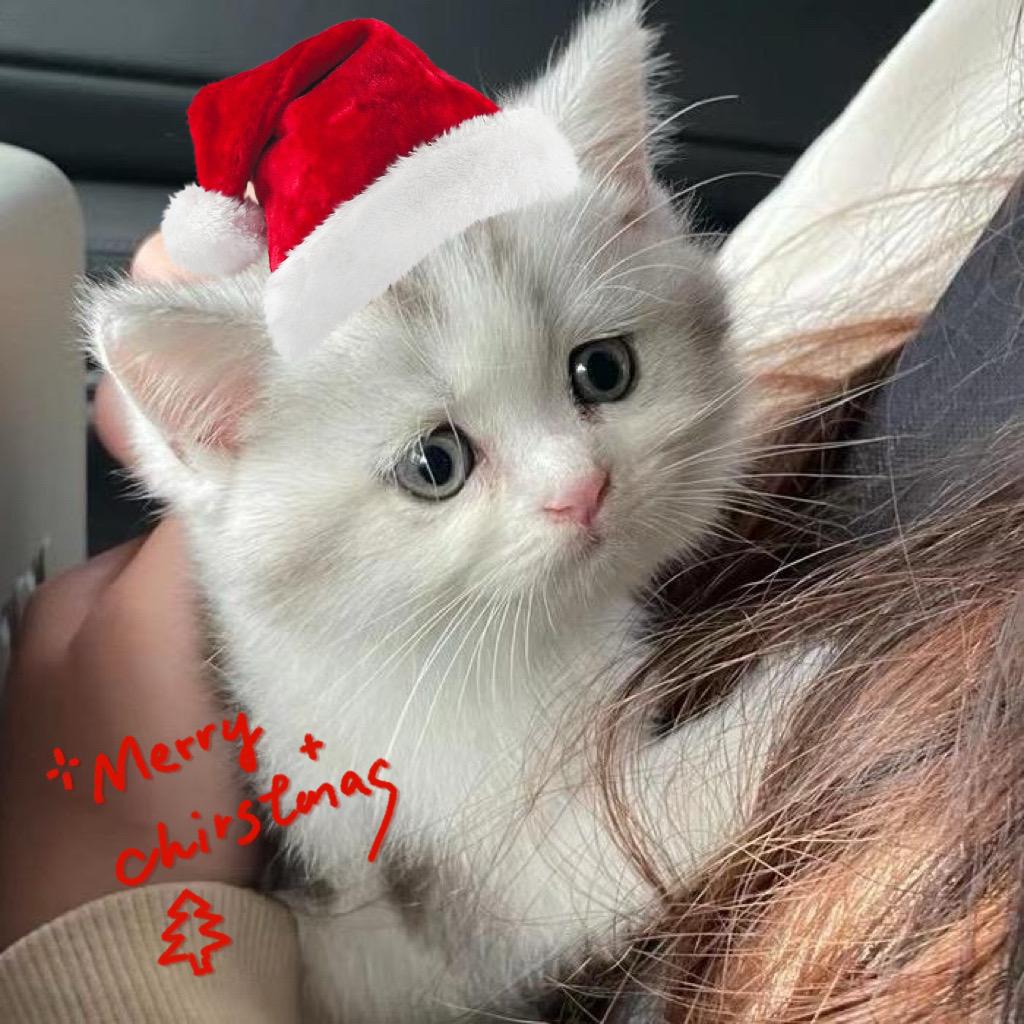 米糊快快长大🍔