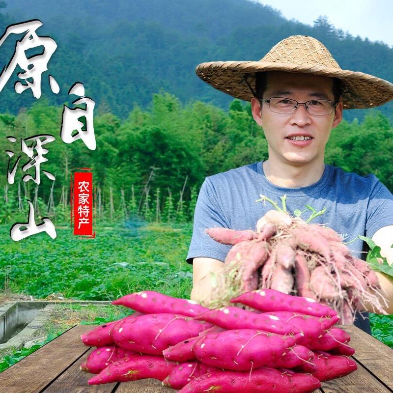 临安番薯帝好又多