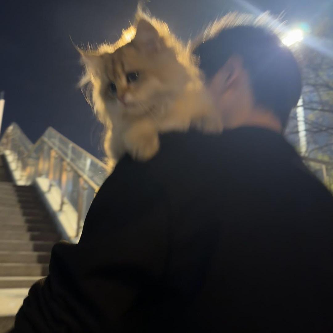 uuuuy-