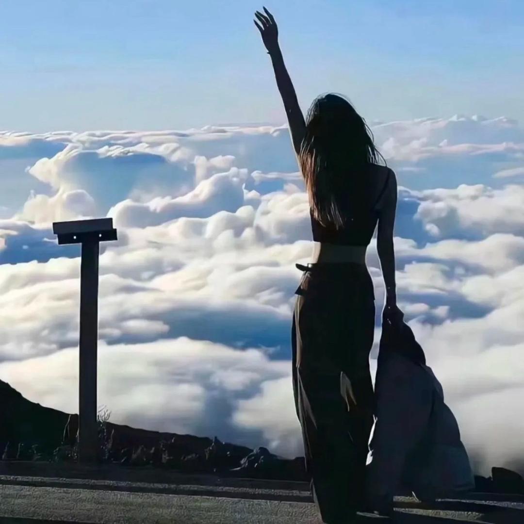 喜雯乐见🌊🦈