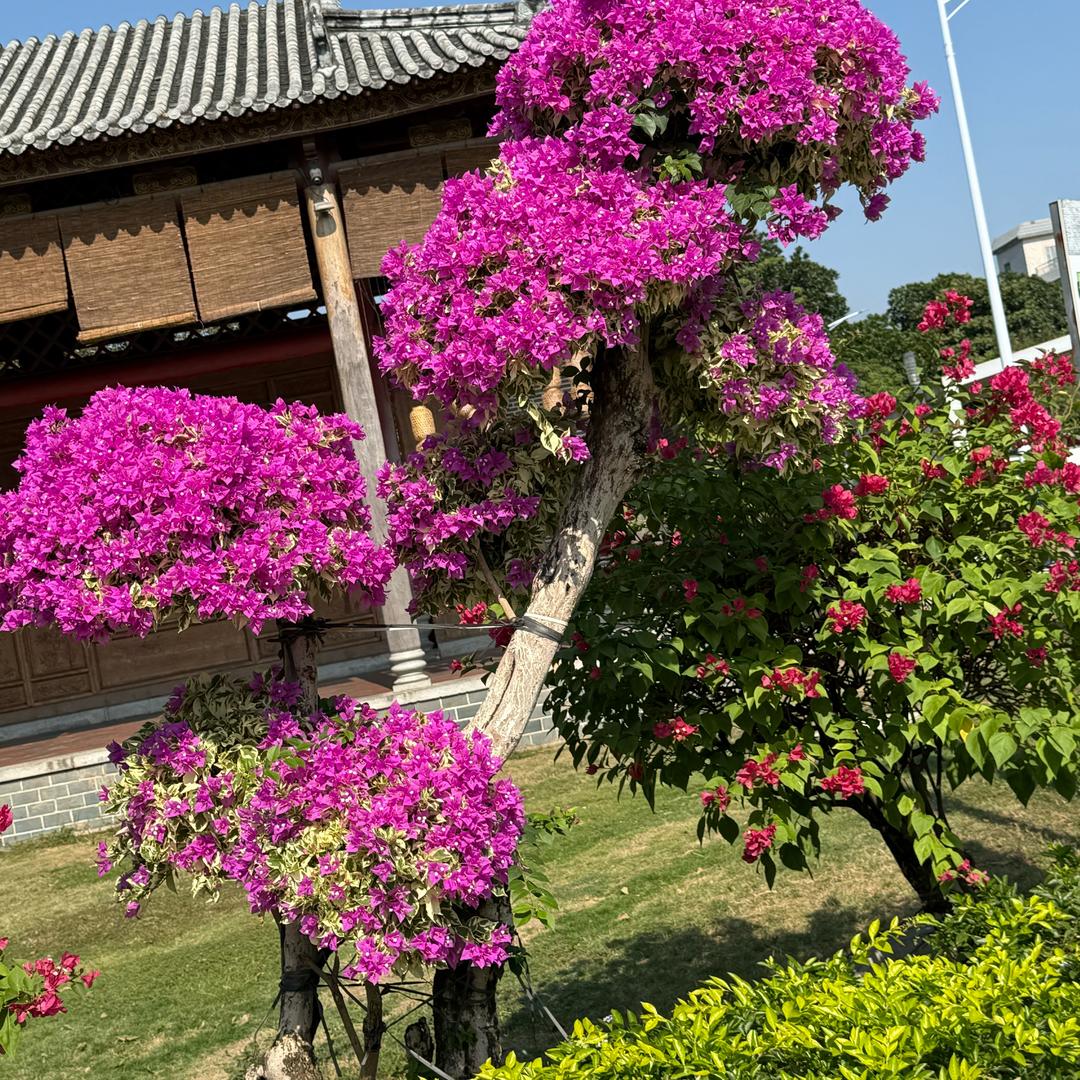 空。