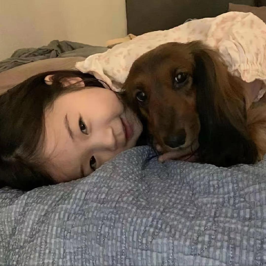 娇一逞 🧸