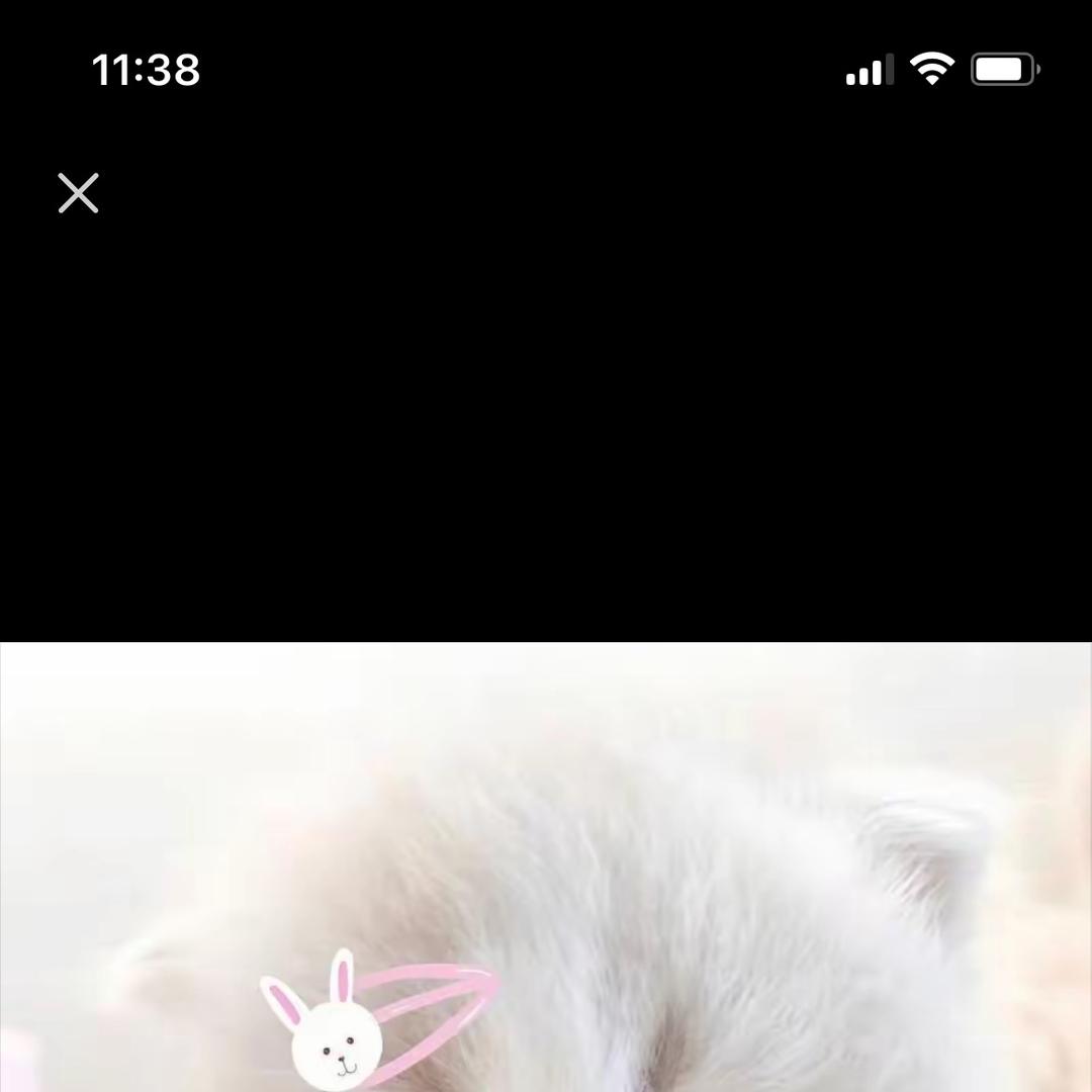 金泰