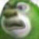 不离啵啵啵不弃