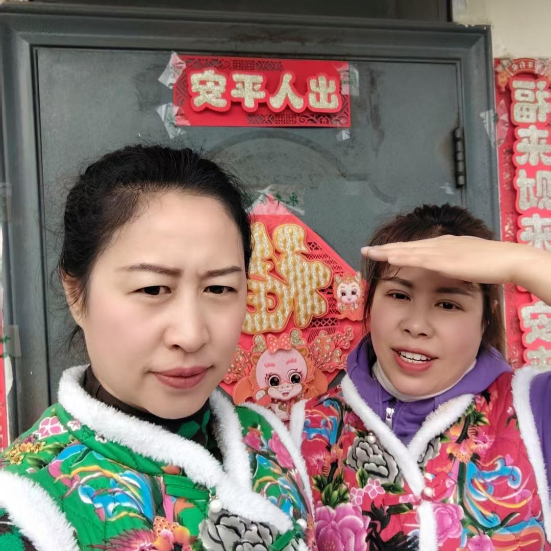 农村燕子土鸡店
