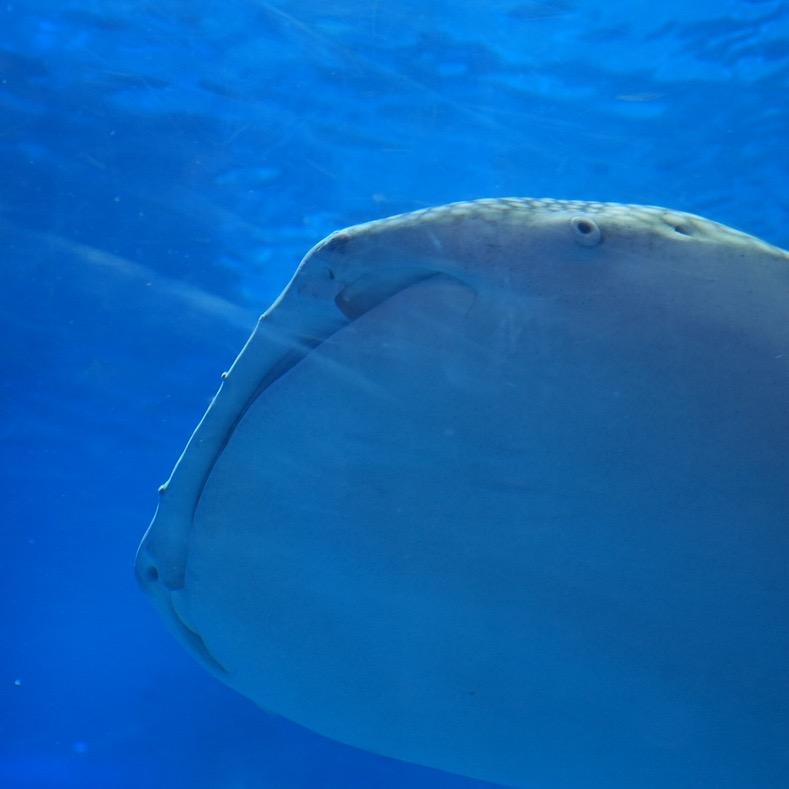 📷fw一到上学就失联