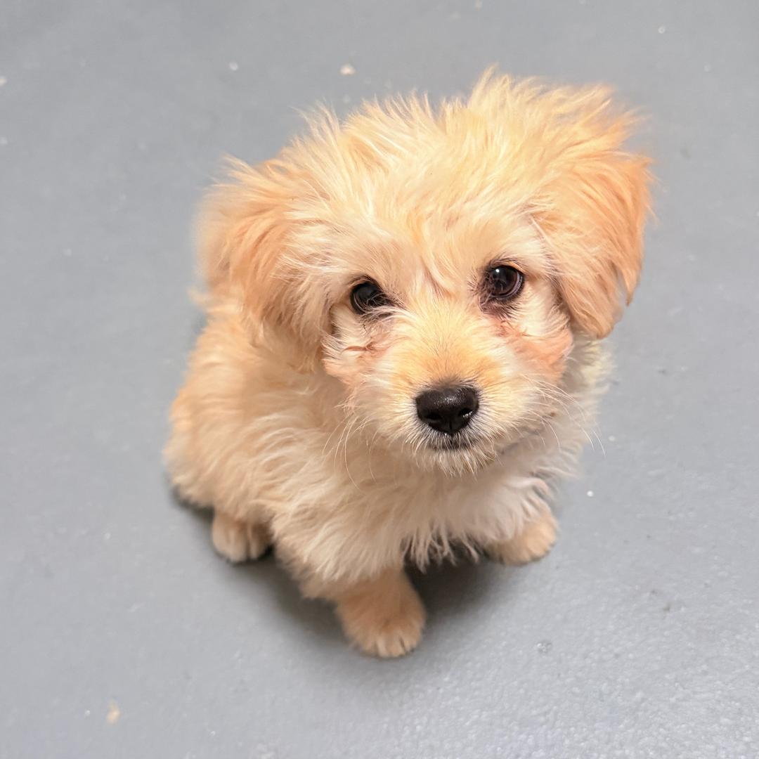 在会昌做调肤的峪霏～