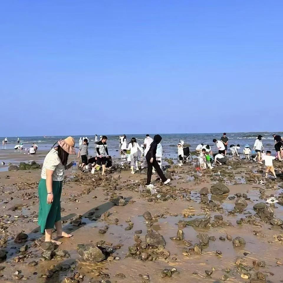 椰海渔村赶海俱乐部（2）