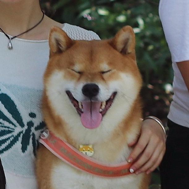 HH