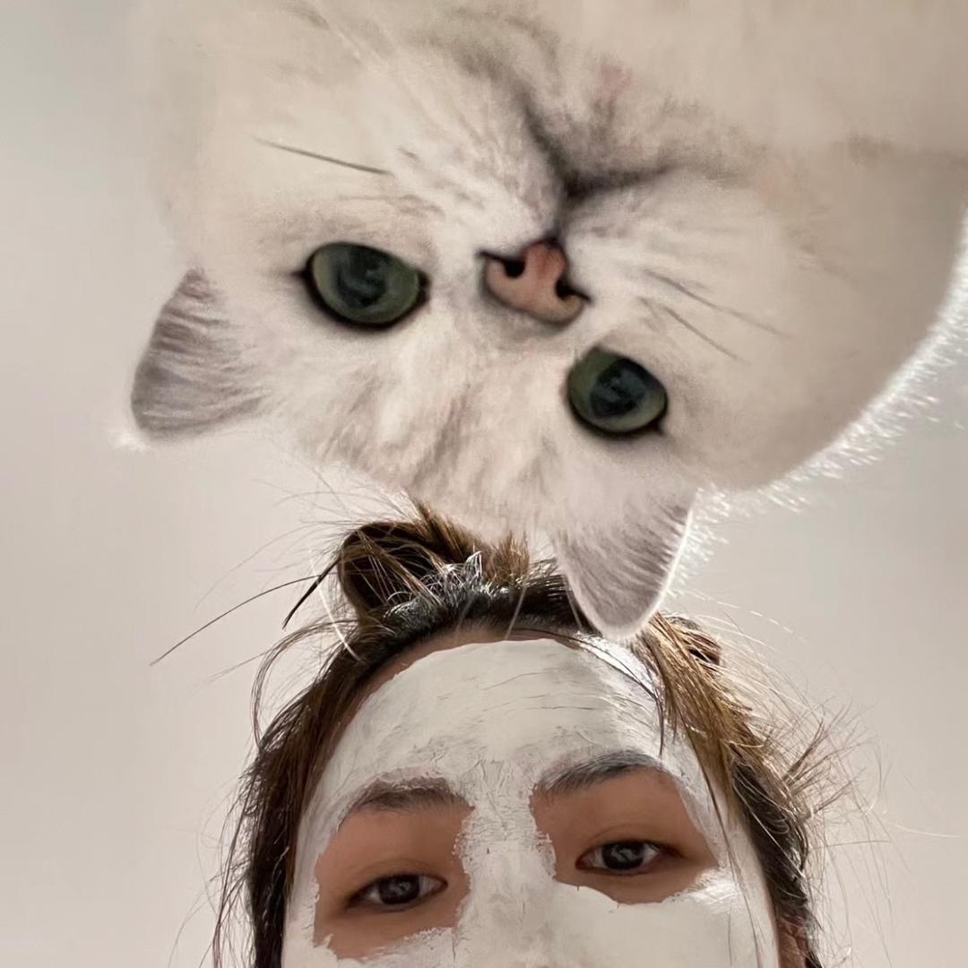 南北c
