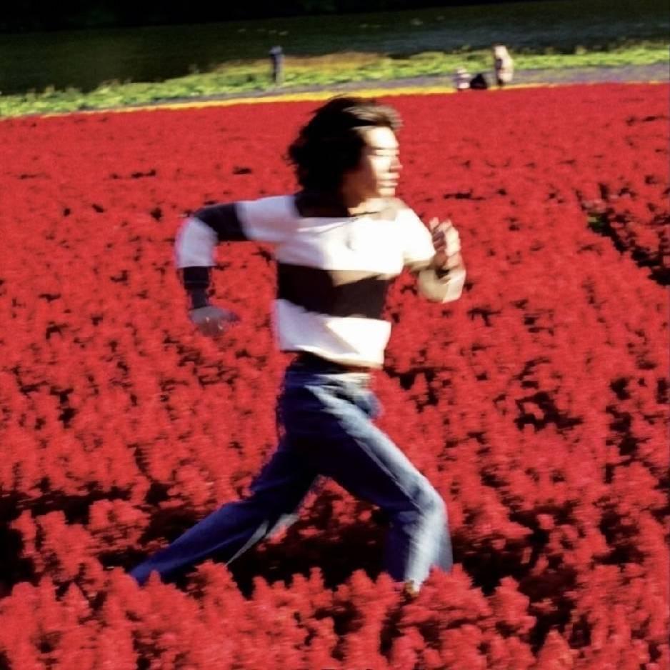 找星粥