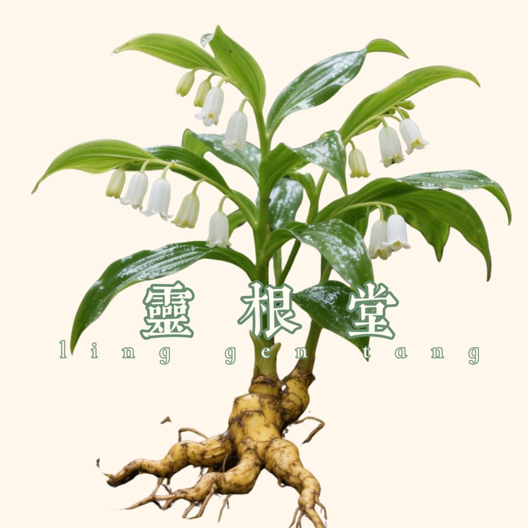九制灵根堂