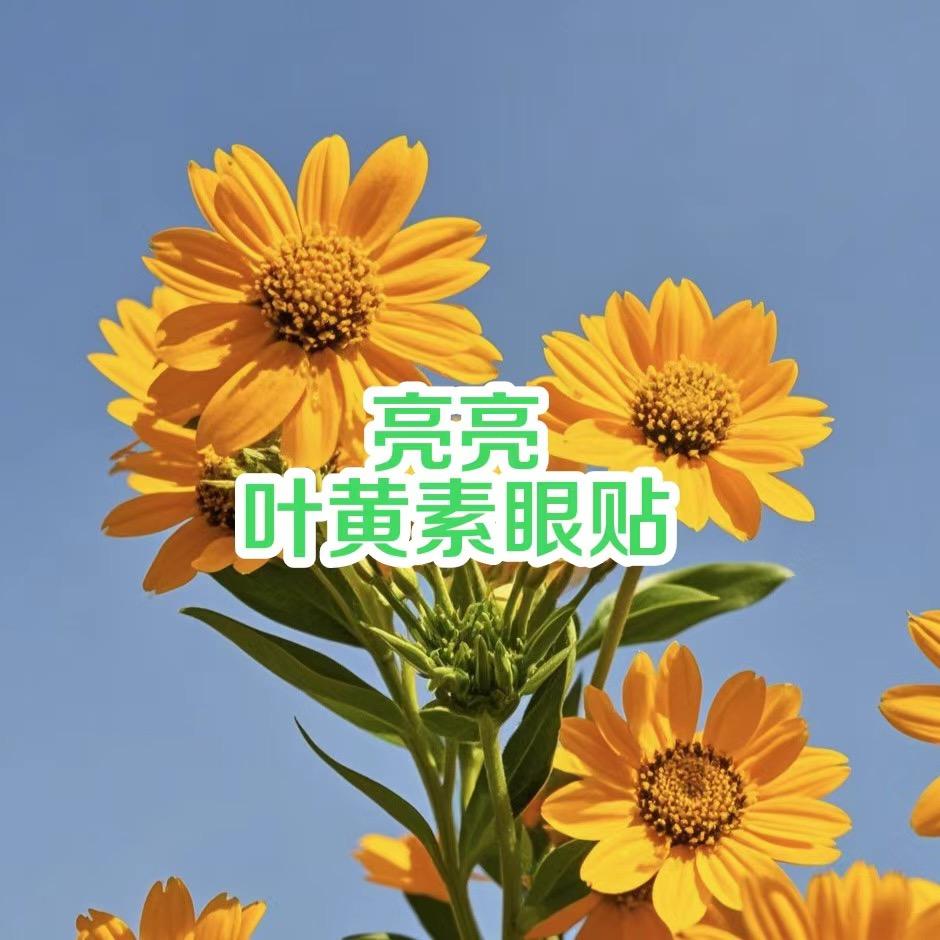 亮亮叶黄素眼贴