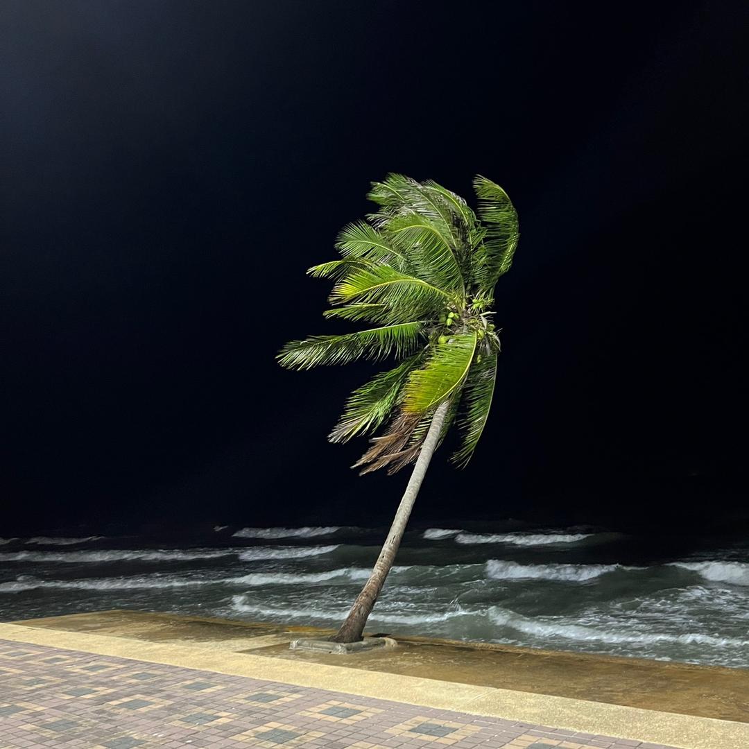浑浑噩噩漂泊