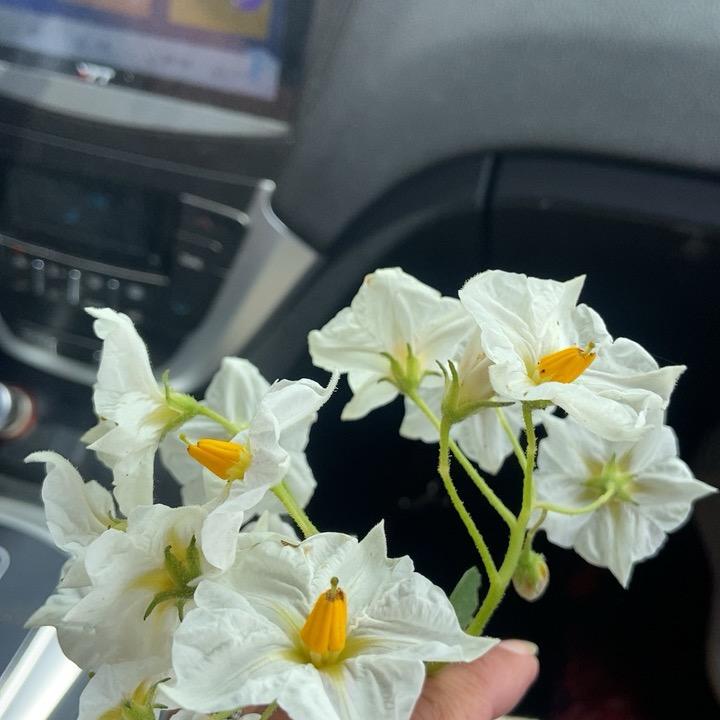 二手闲置家具家电小小红