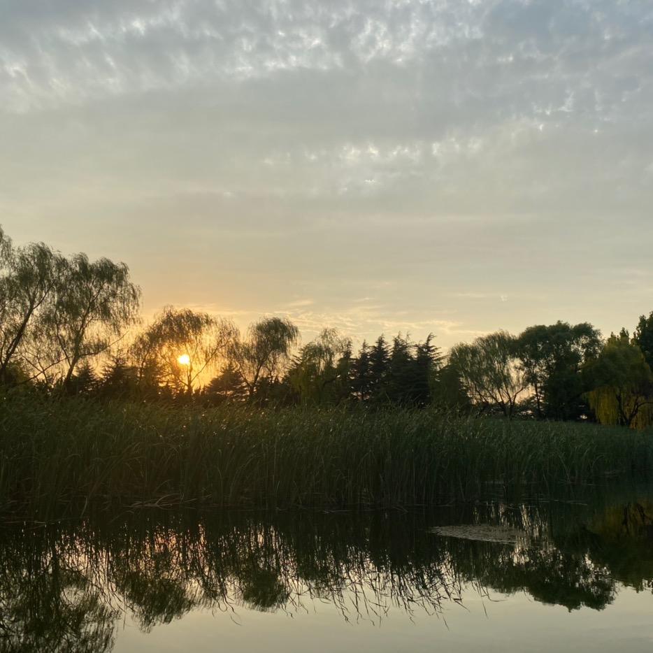 开索纳塔的小赵