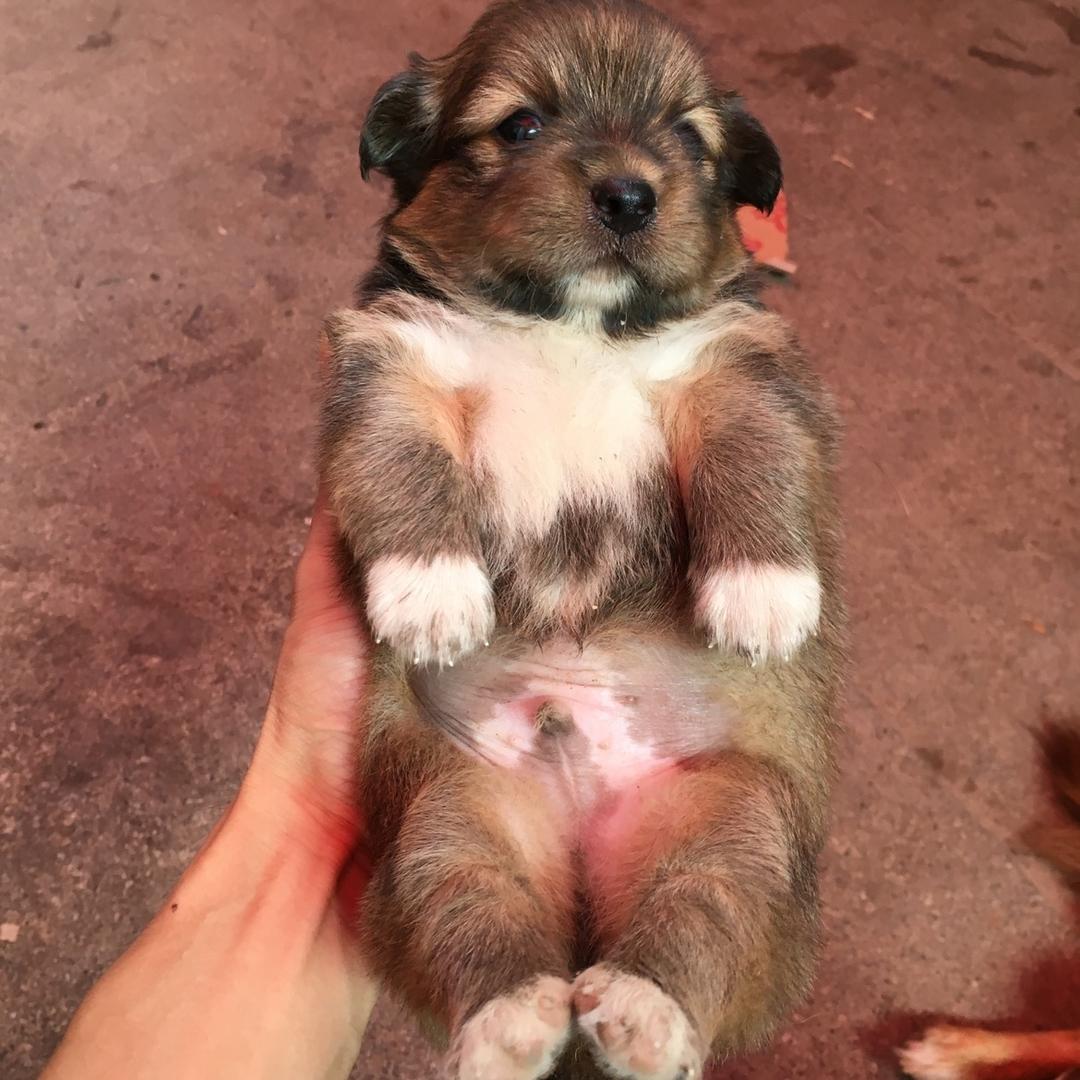 @锋匠好物