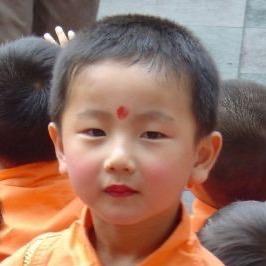 我是一条鱼