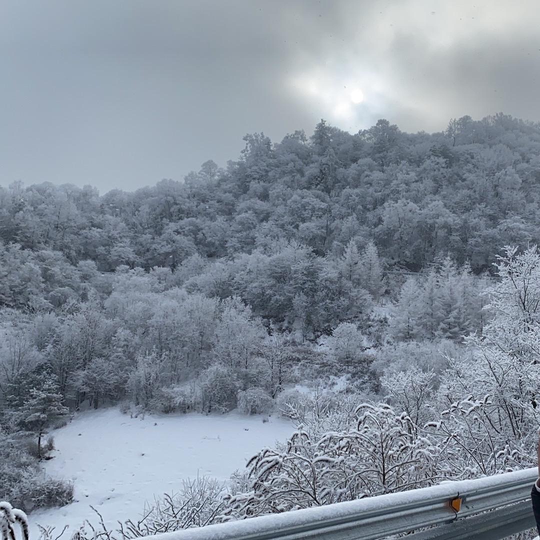 无敌无敌小可爱