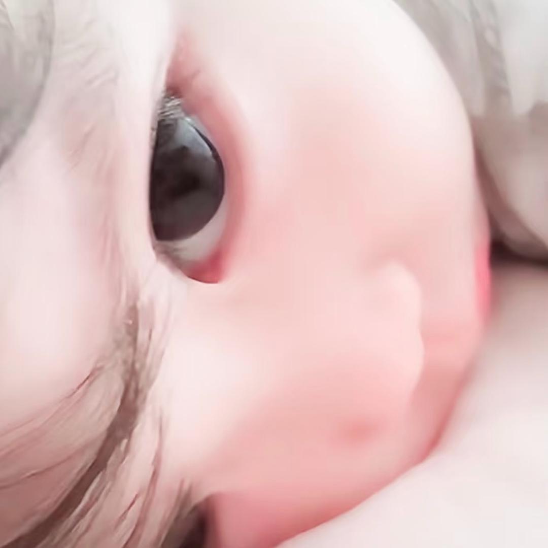 小y.