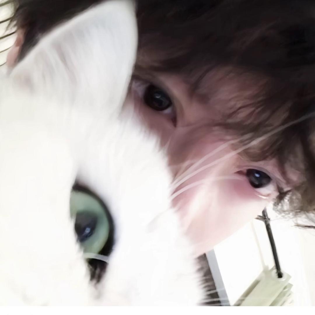 _͏春季