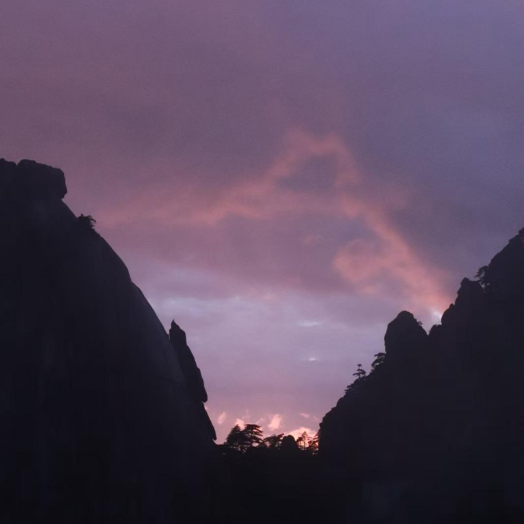茉莉浅开