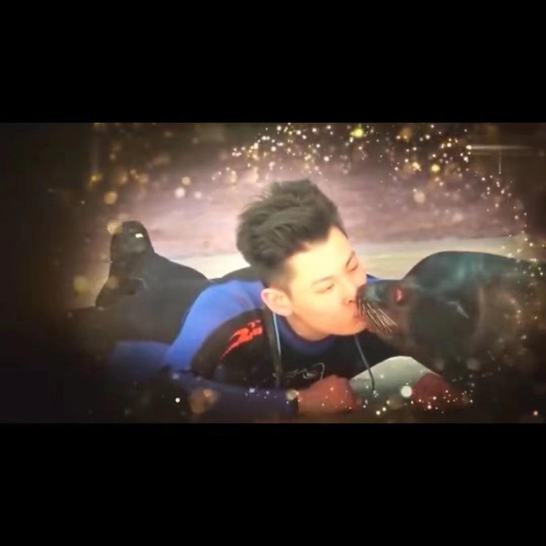 上海棣棣哈痞🦈