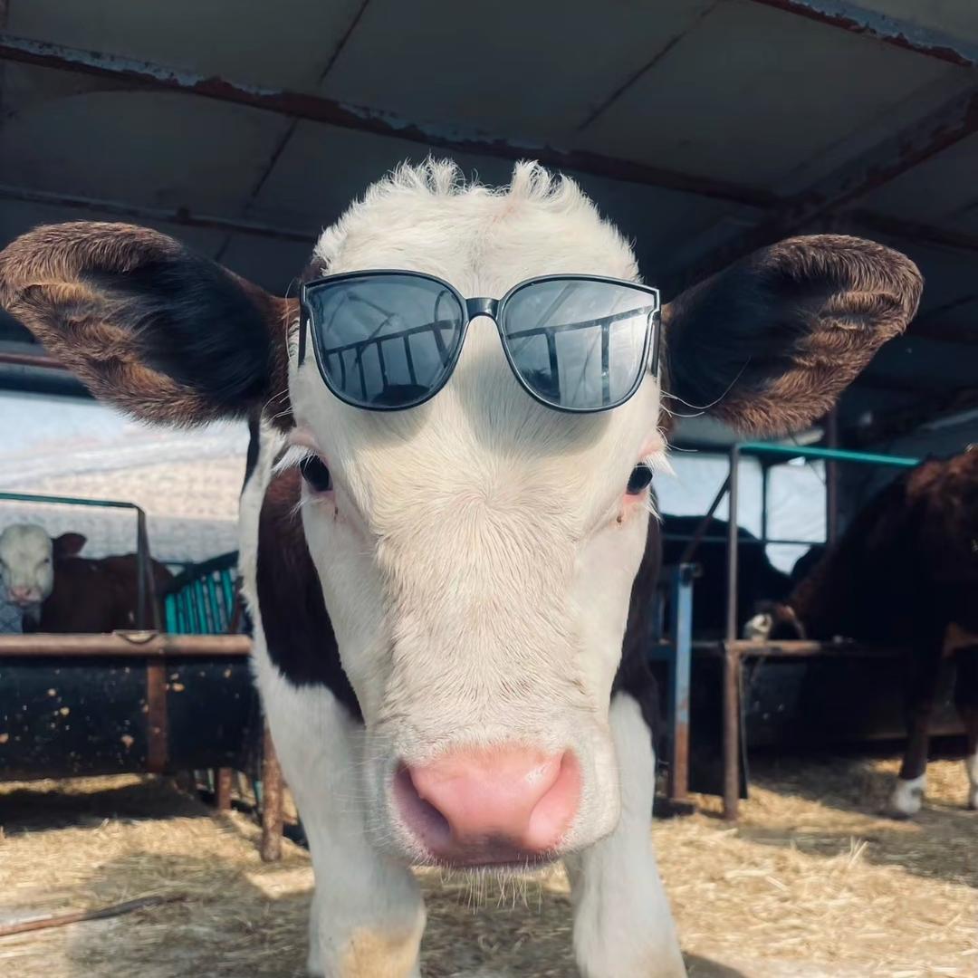 贾汪侯家牛肉汤馆