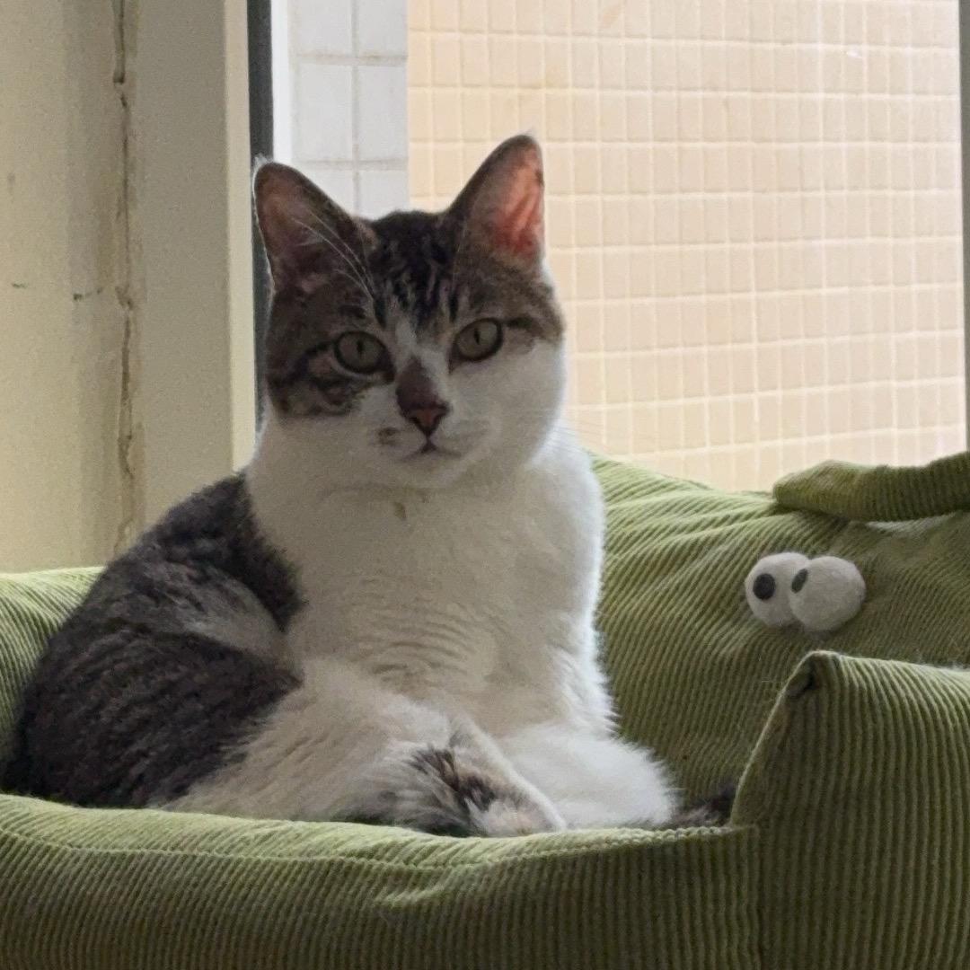 好运来好运来四面八方来💰💰💰