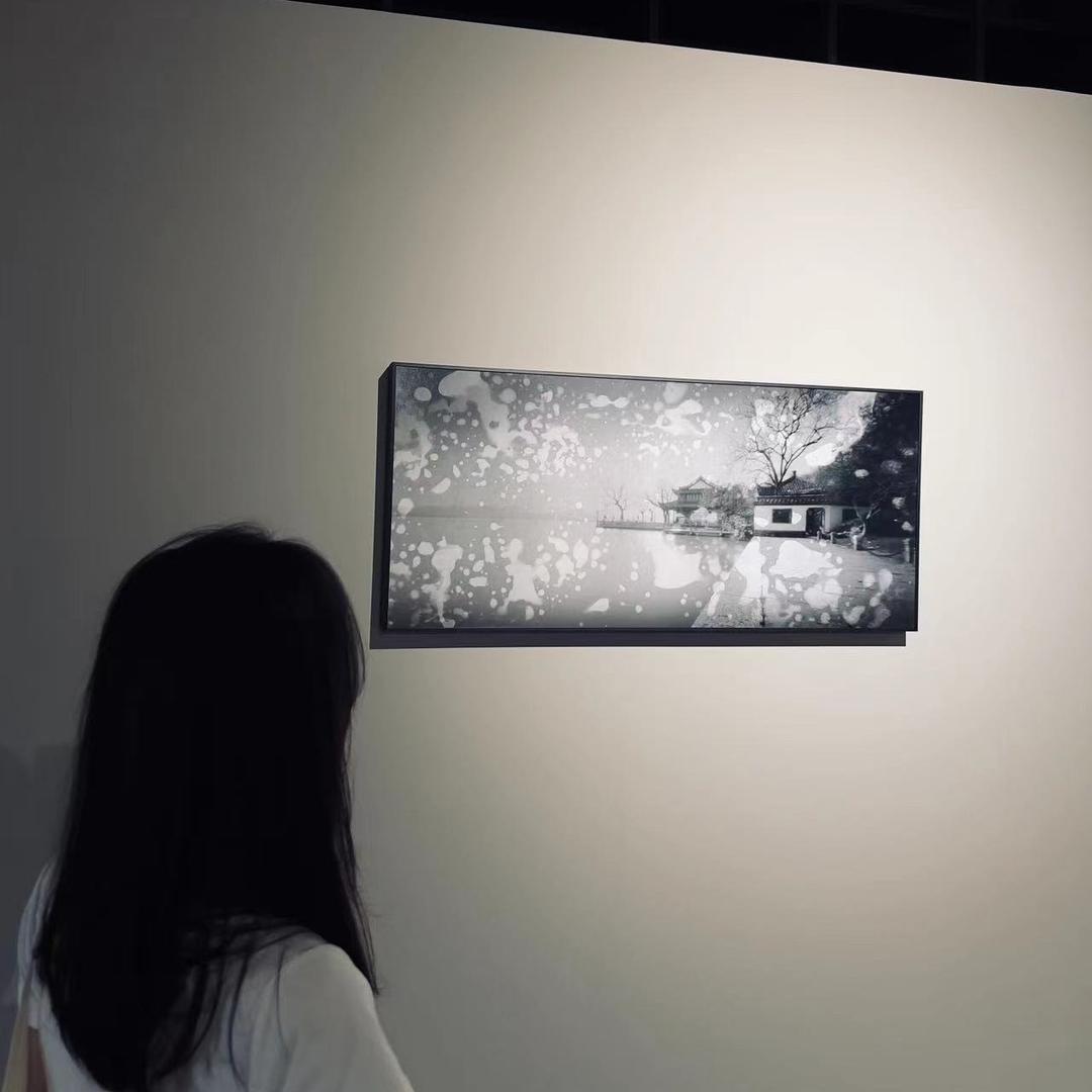 捕捉一只“兰精灵”