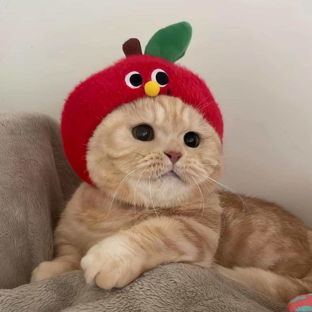 旺小旺