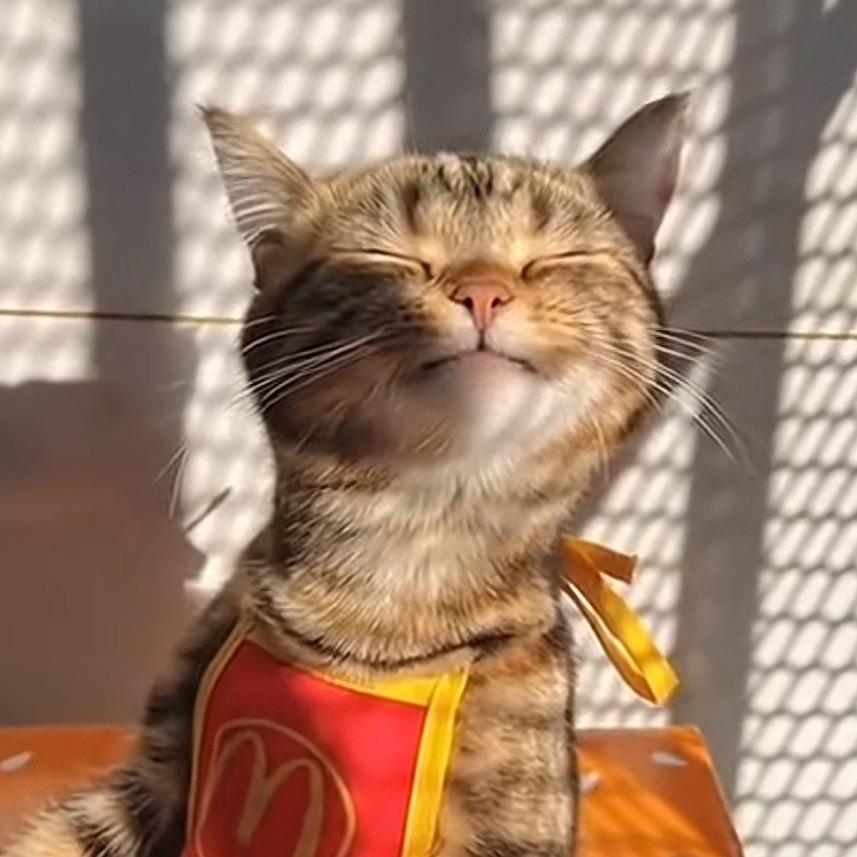 库拉姆