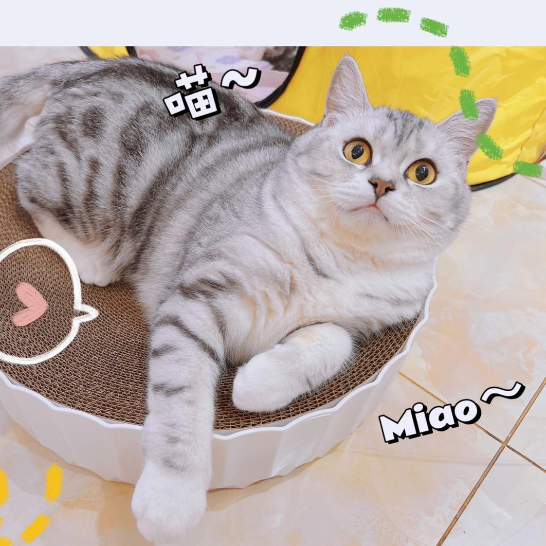 🌼百毒不侵🌼