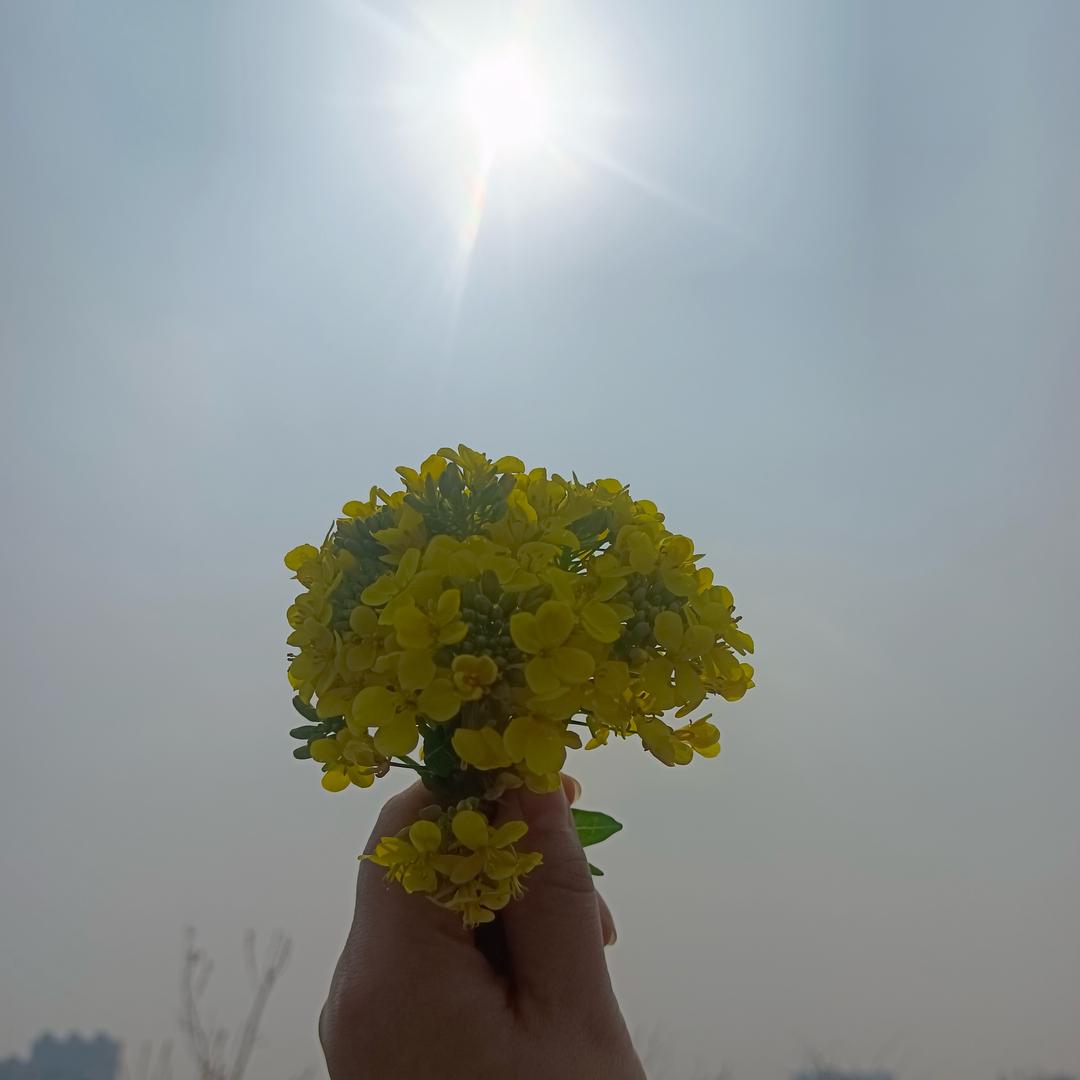 输在✊认真