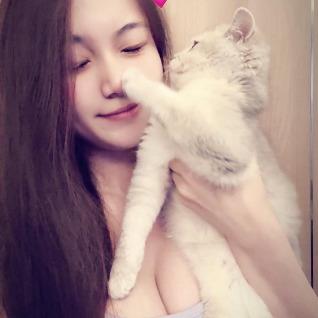 kotoko.