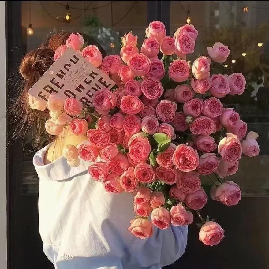 傻丫头（拒绝私聊）