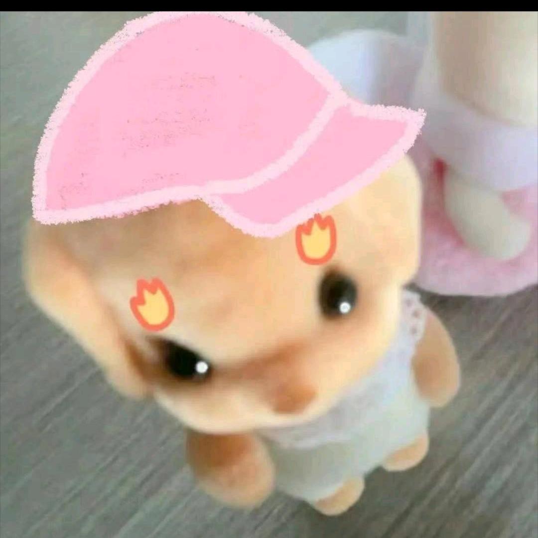 钱从四面八方来🕸️